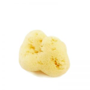 Fine Dama Sbiancata VISO 4/5 gr - S - Cose della Natura