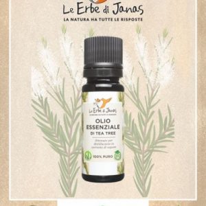 Olio Essenziale di Tea Tree BIO - Le Erbe di Janas